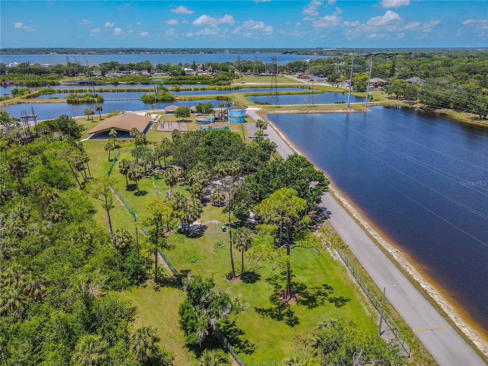 Oldsmar dog park