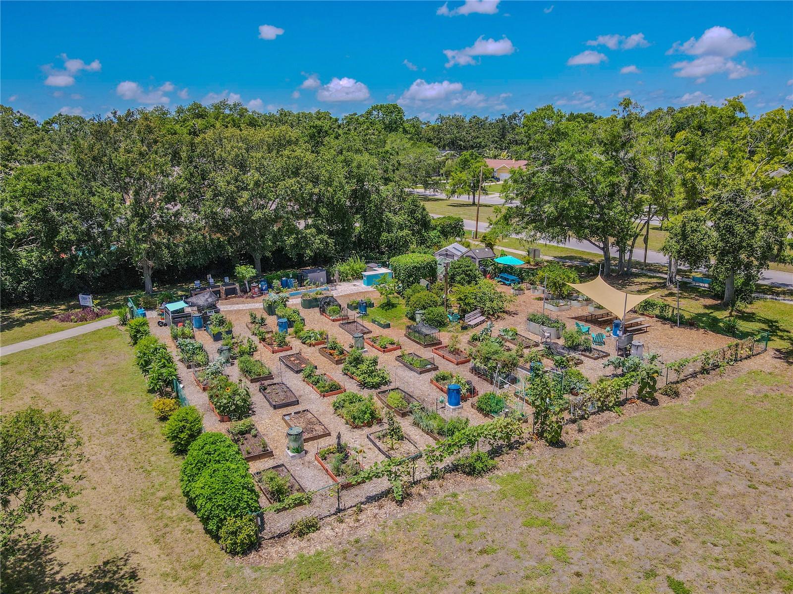 Community garden