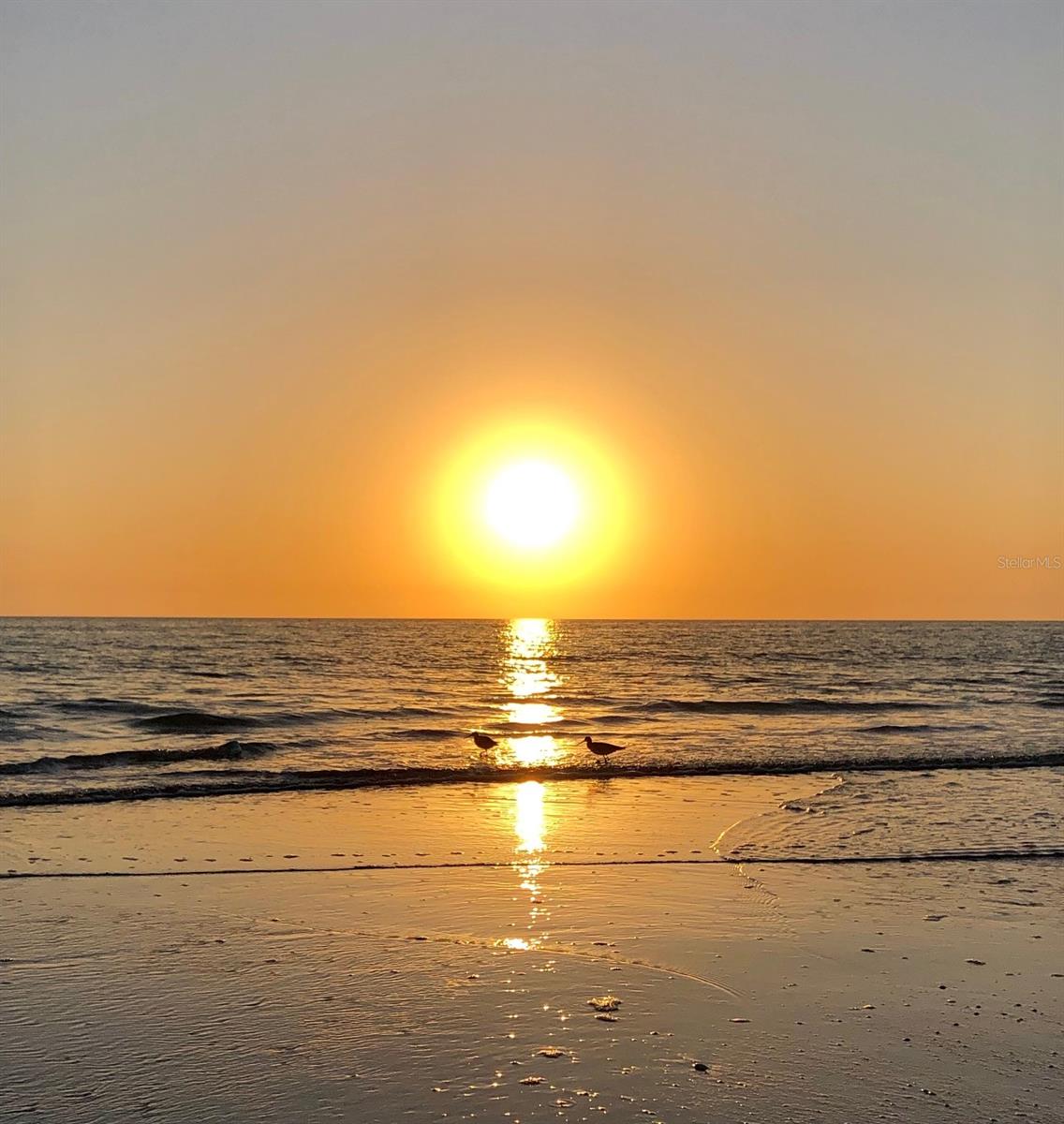 Beautiful Nightly Sunsets on Madeira Beach
