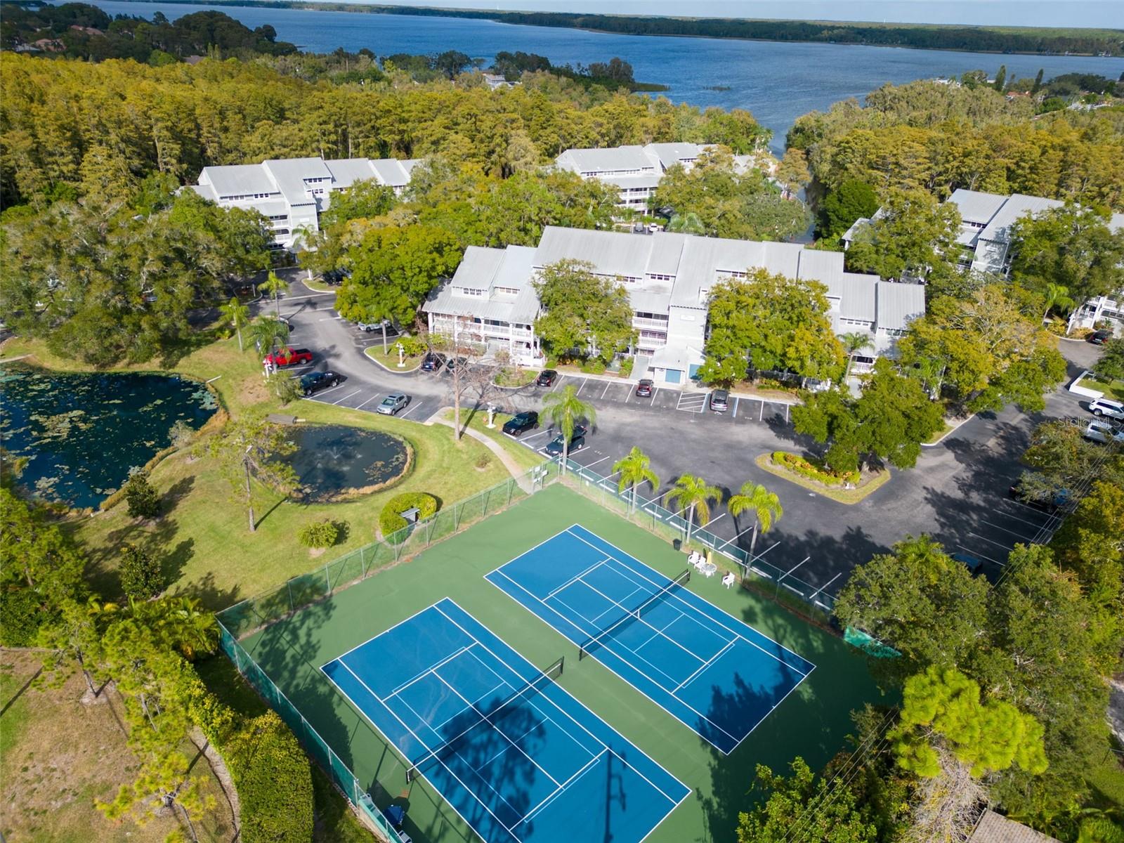 Tennis/Pickleball Courts