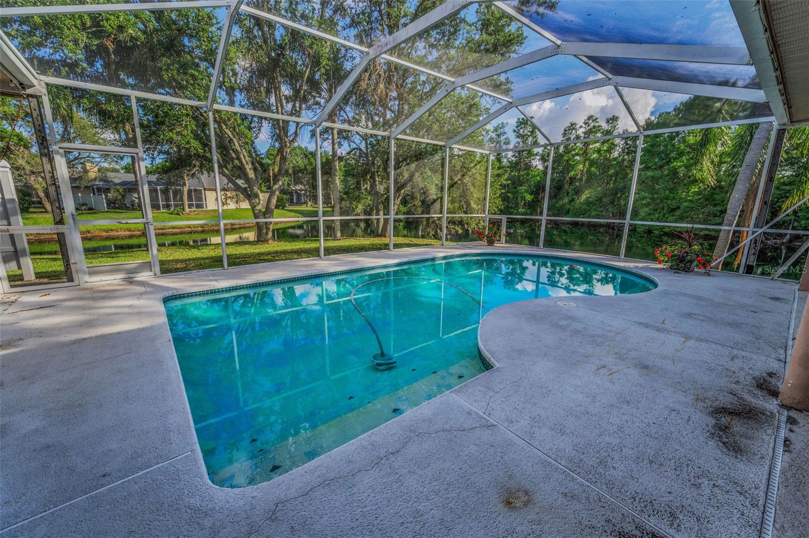 Large Pool Deck