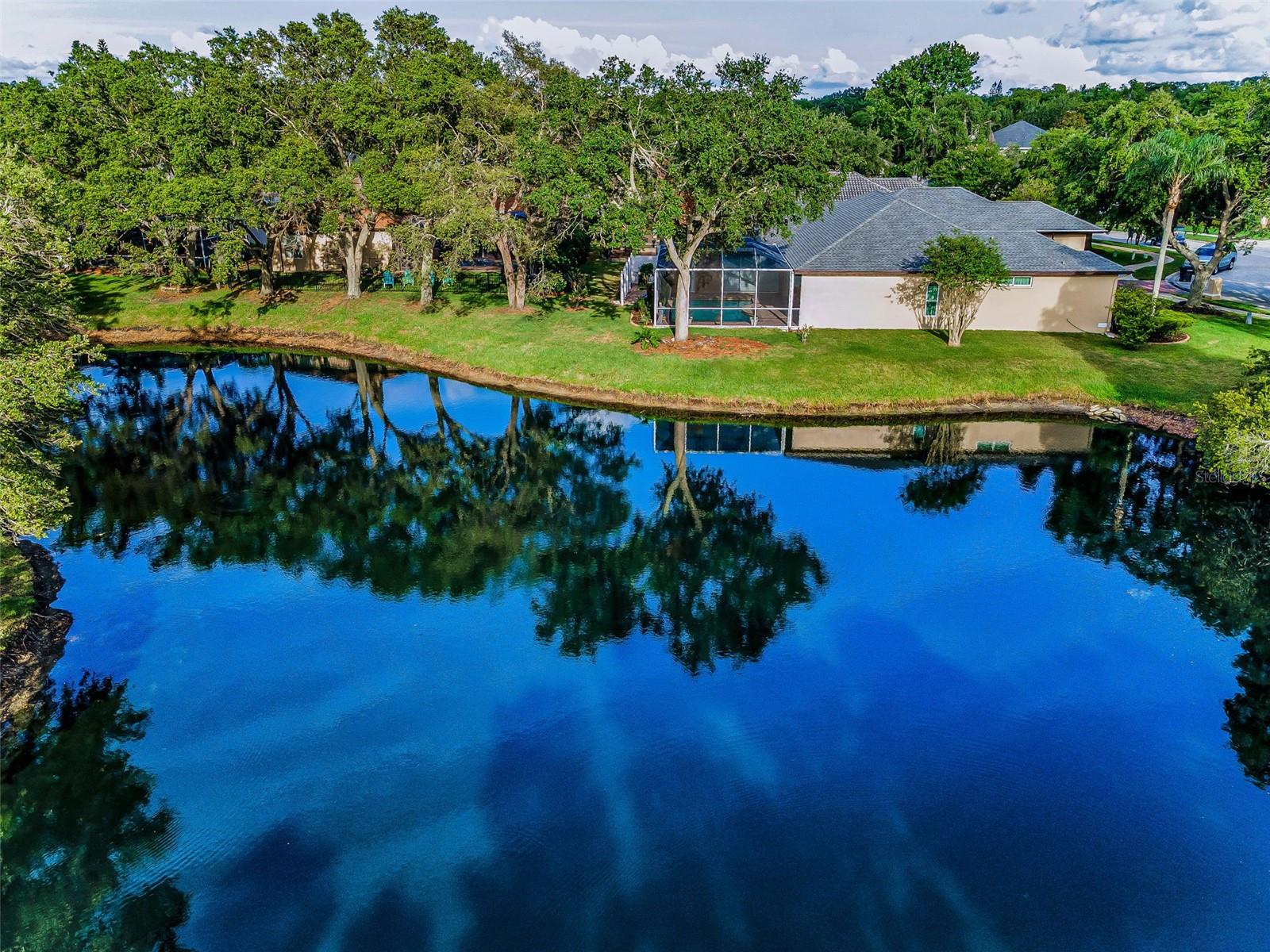 Pond