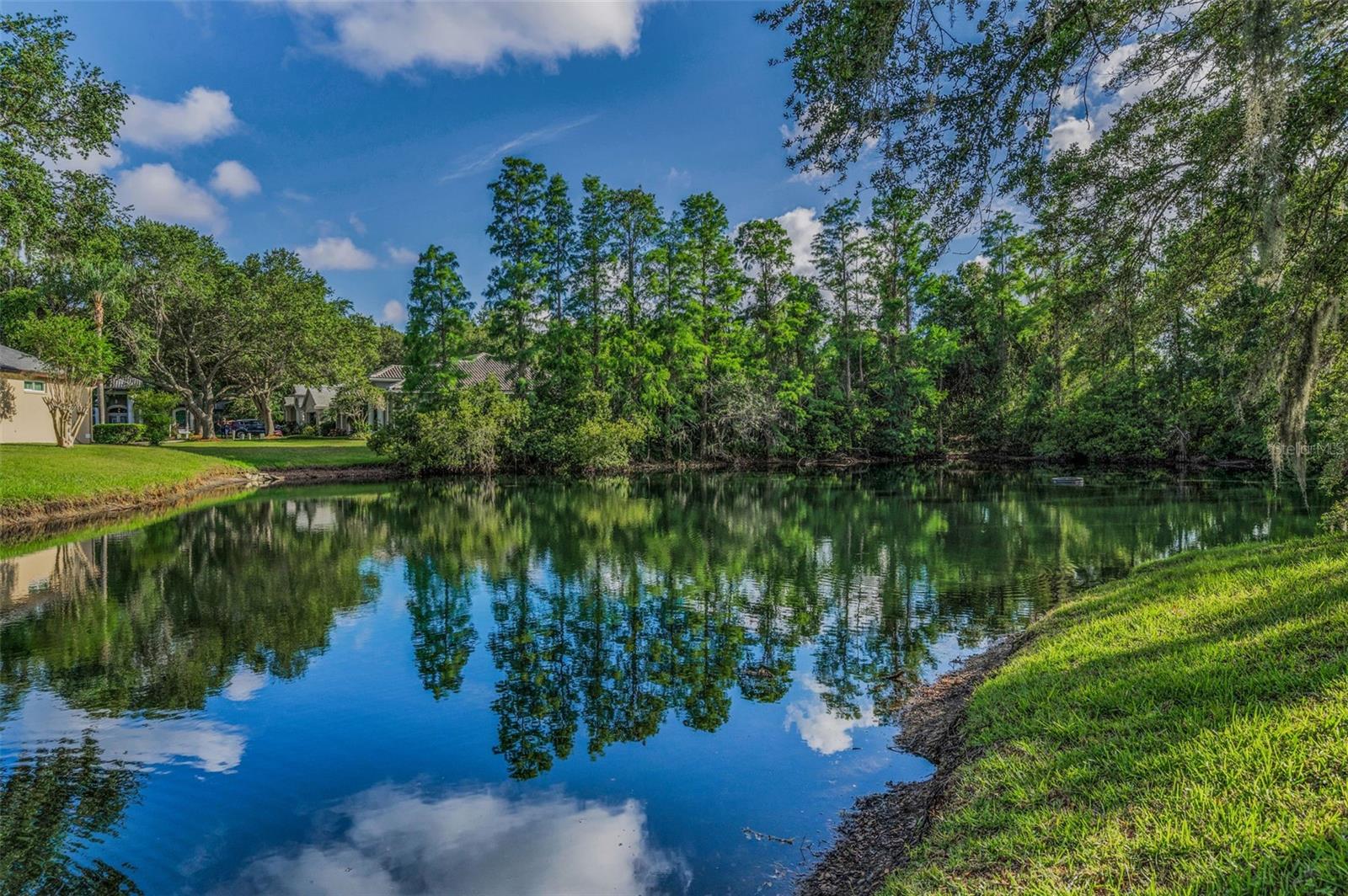 Mirror-like Pond