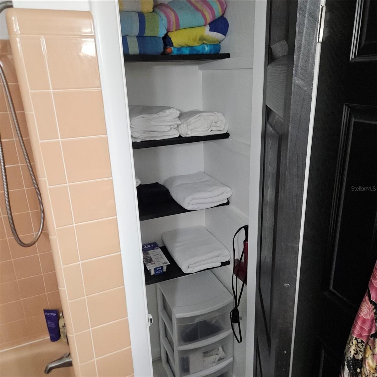 Hall Bathroom Linen Closet