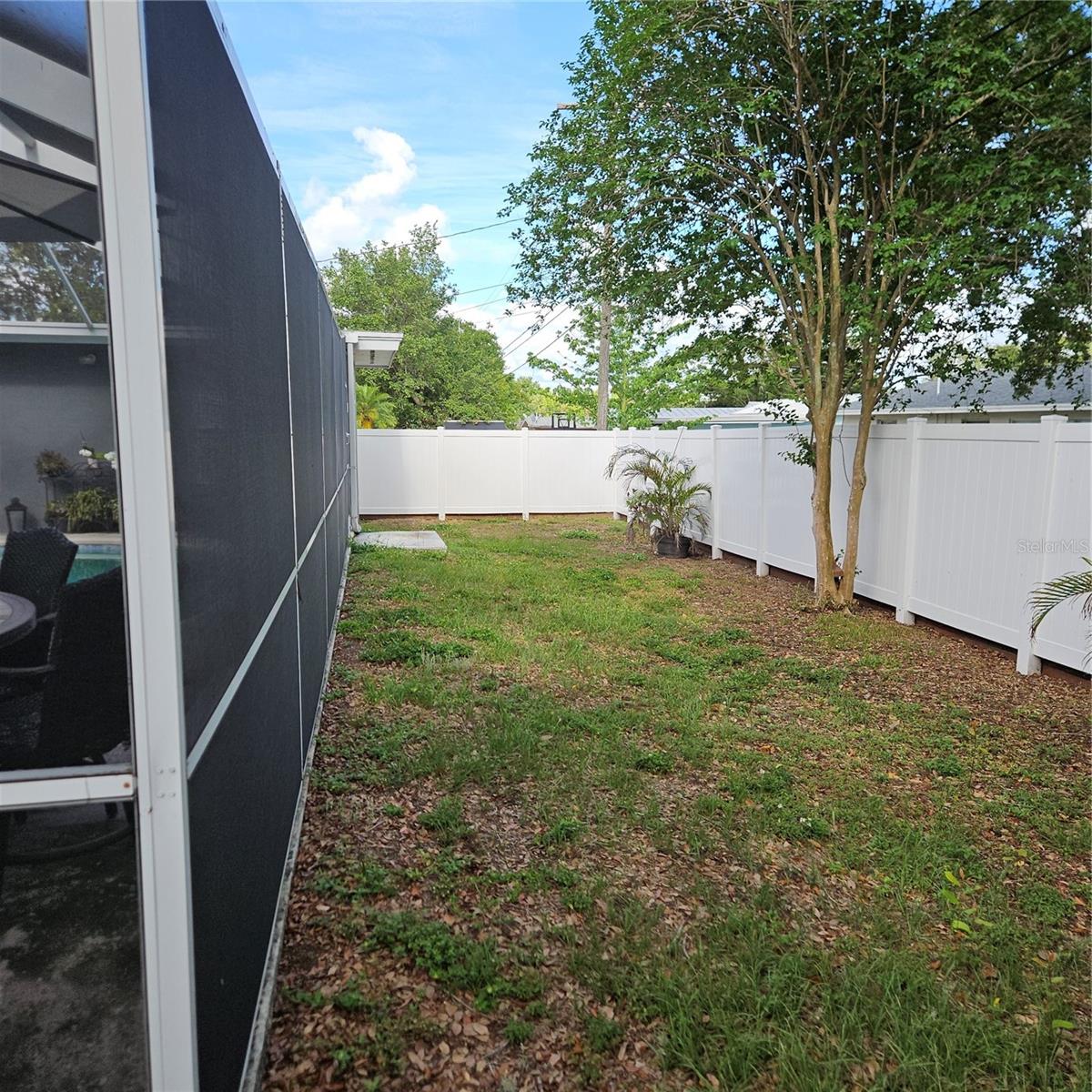 Backyard behind the Birdcage