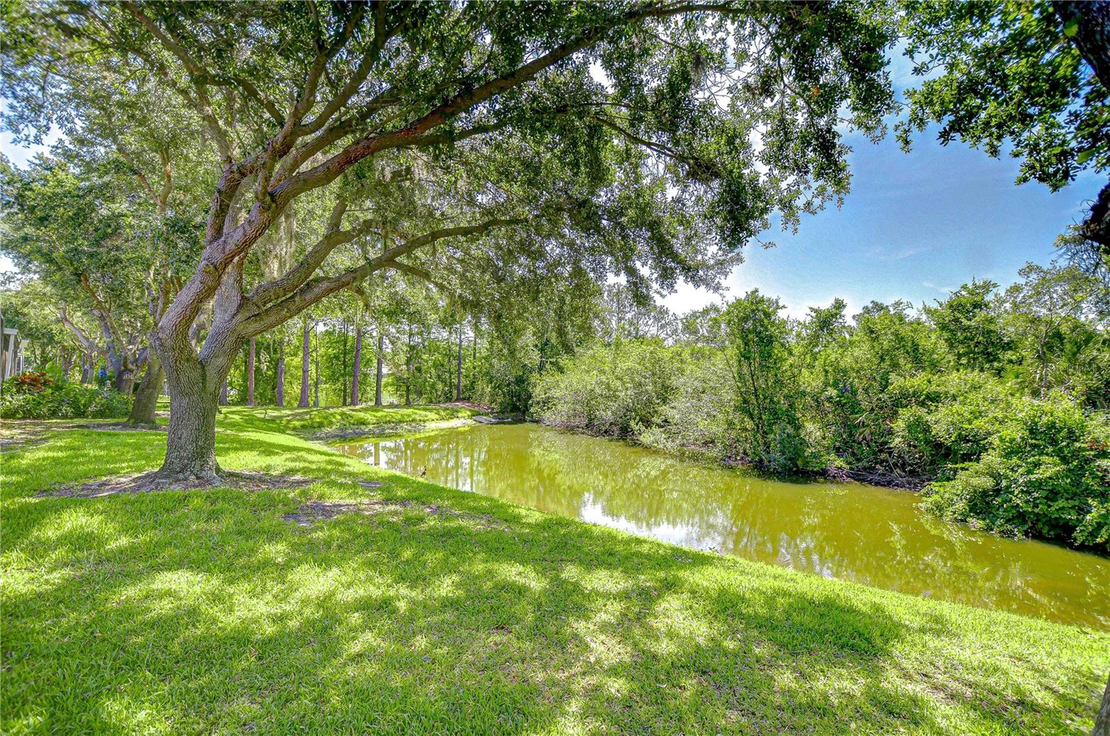 Beautiful pond views!
