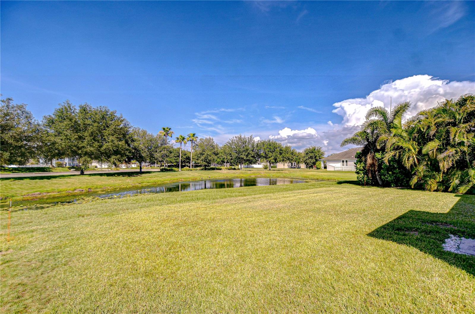 Situated on a tranquil pond lot with no backyard neighbors!