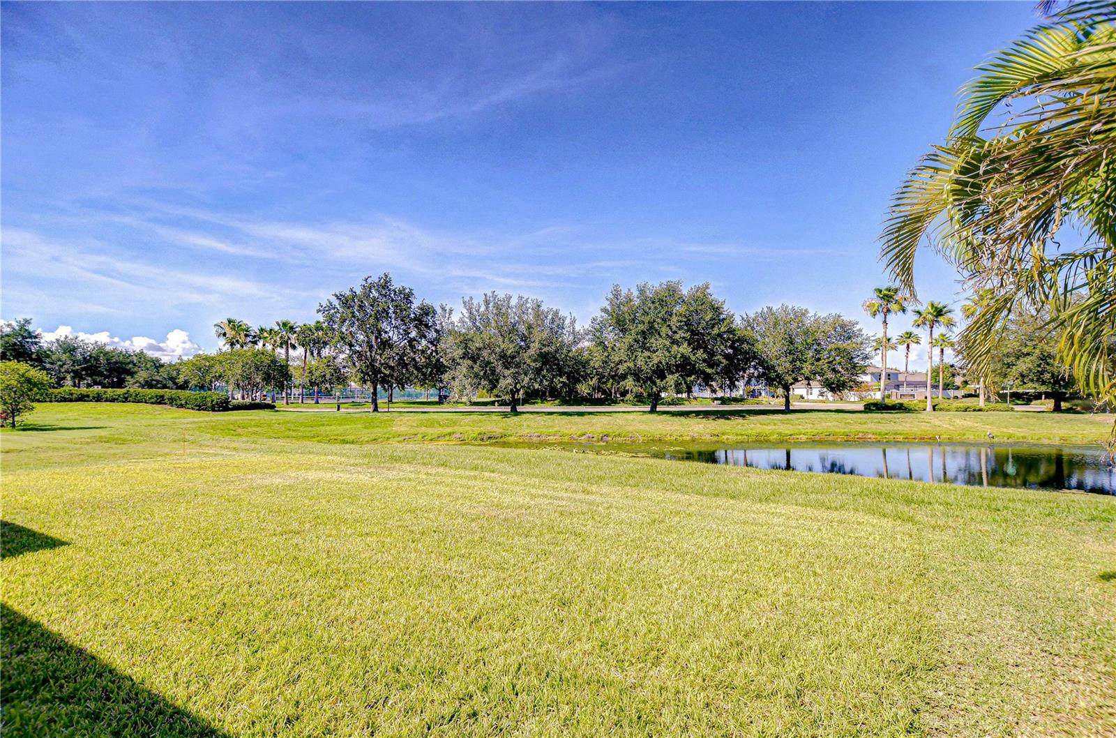 Plenty of room to play, relax, and enjoy nature right in your backyard!