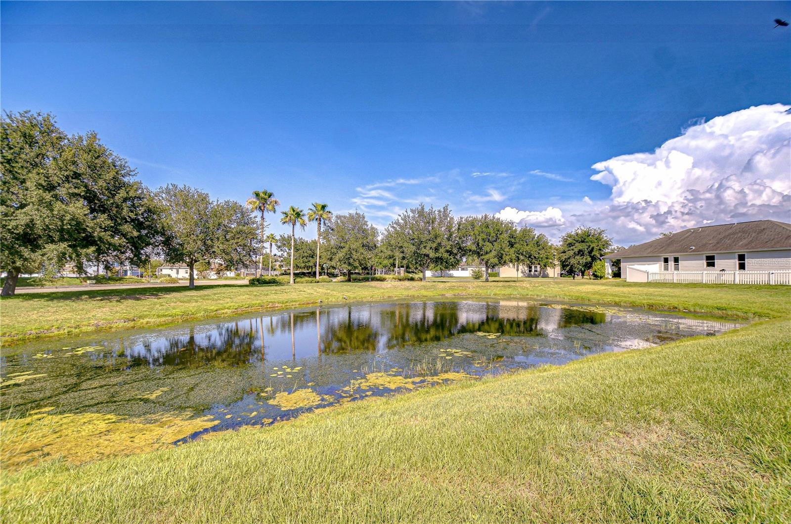 Spacious backyard with peaceful pond views—your private slice of paradise!