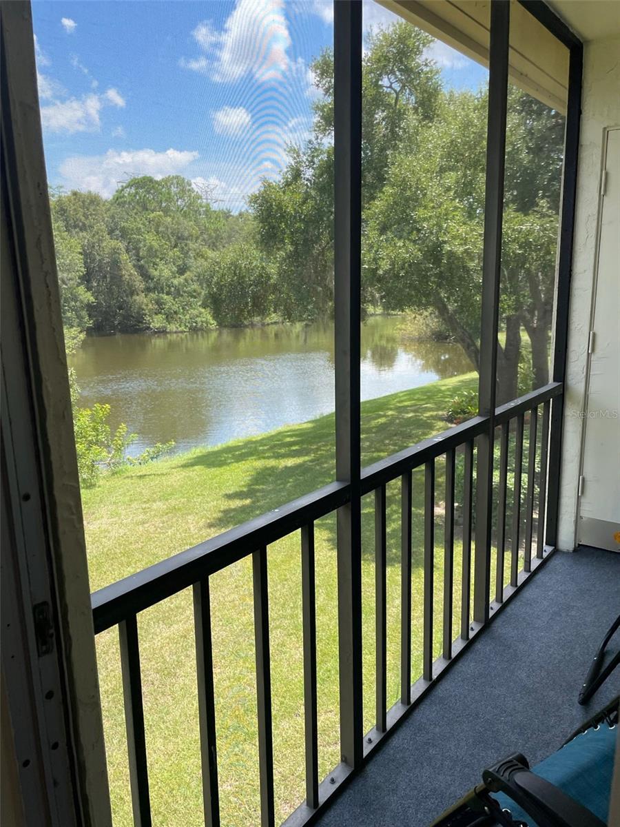 Screened In Balcony