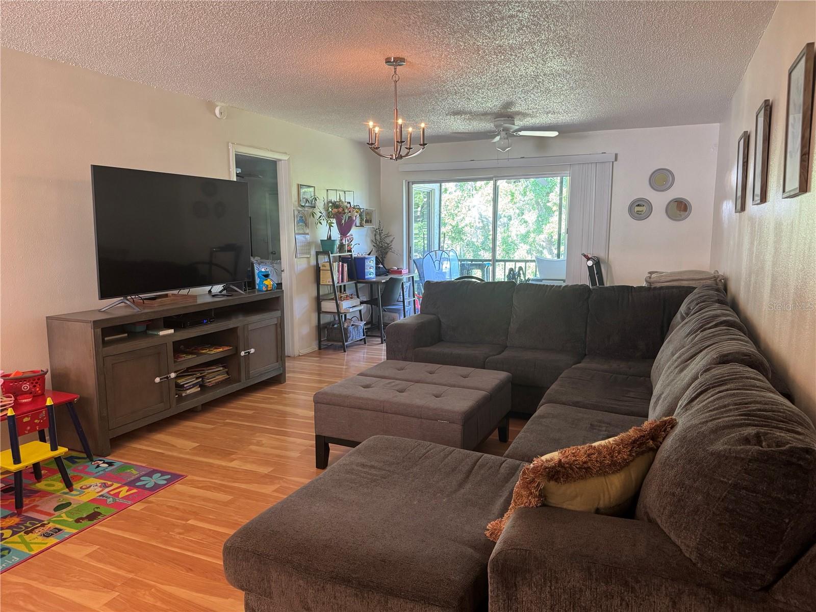 Large Living Room