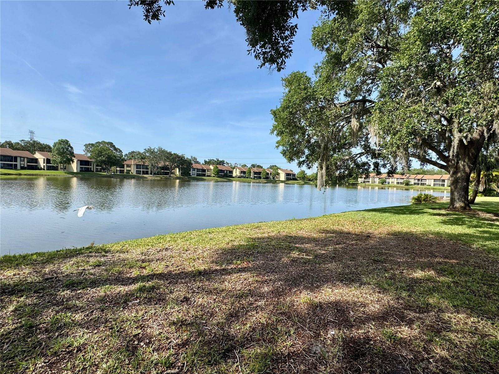Lakeview
