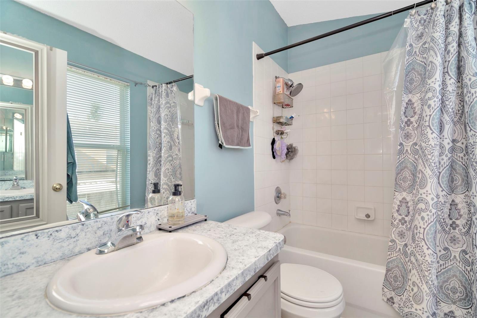 Owner's Bath