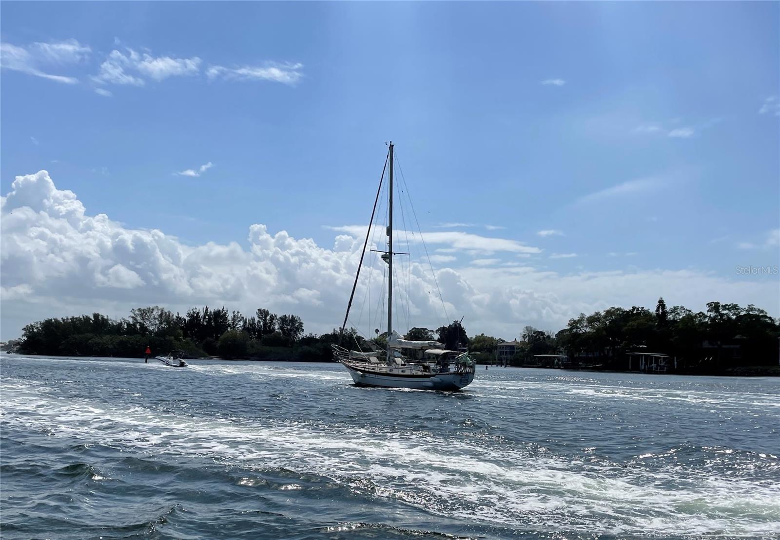 Hop on one of the many boat trips out Tarpon Springs