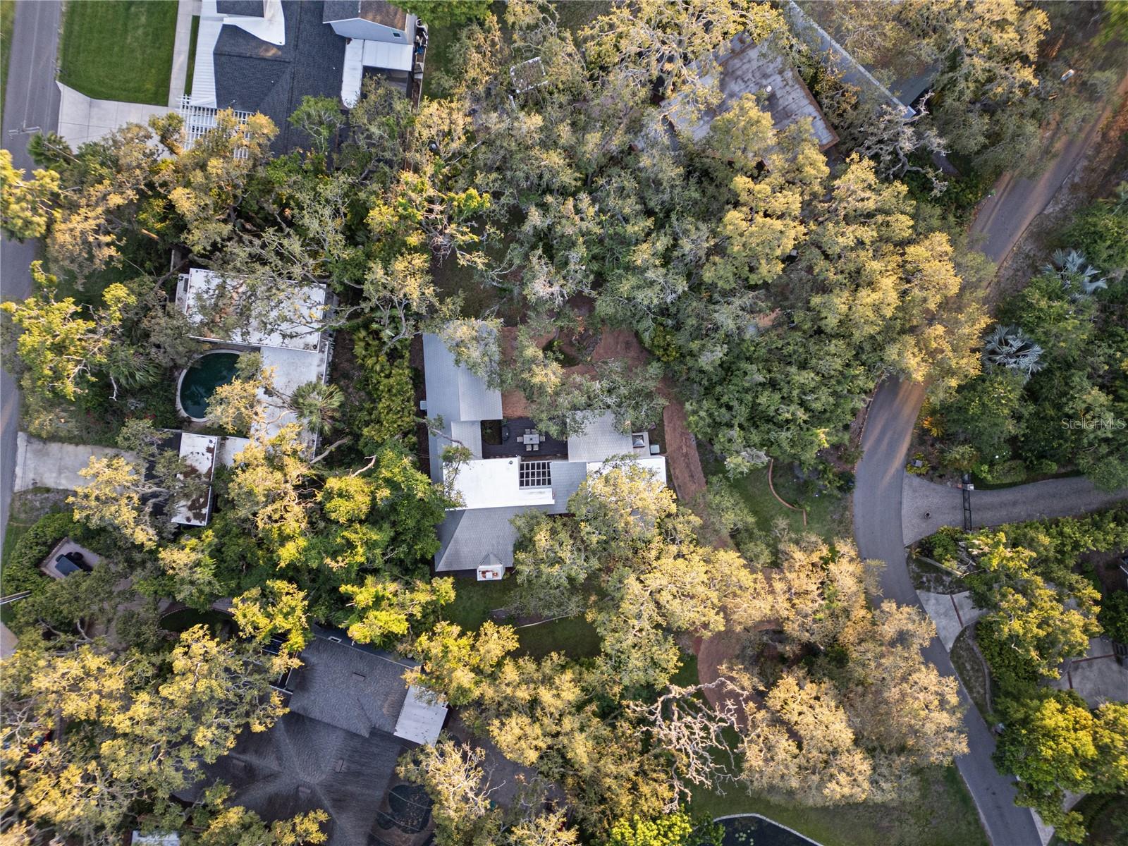 Drone View of the home