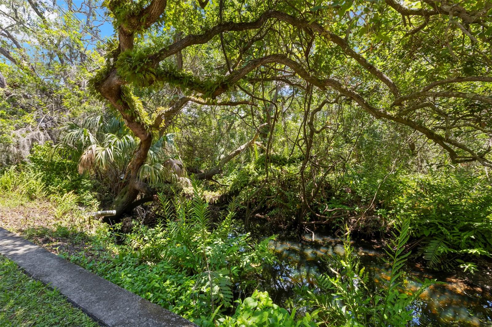 Creek behind the home with lots of wildlife sightings including otters and a variety of birds