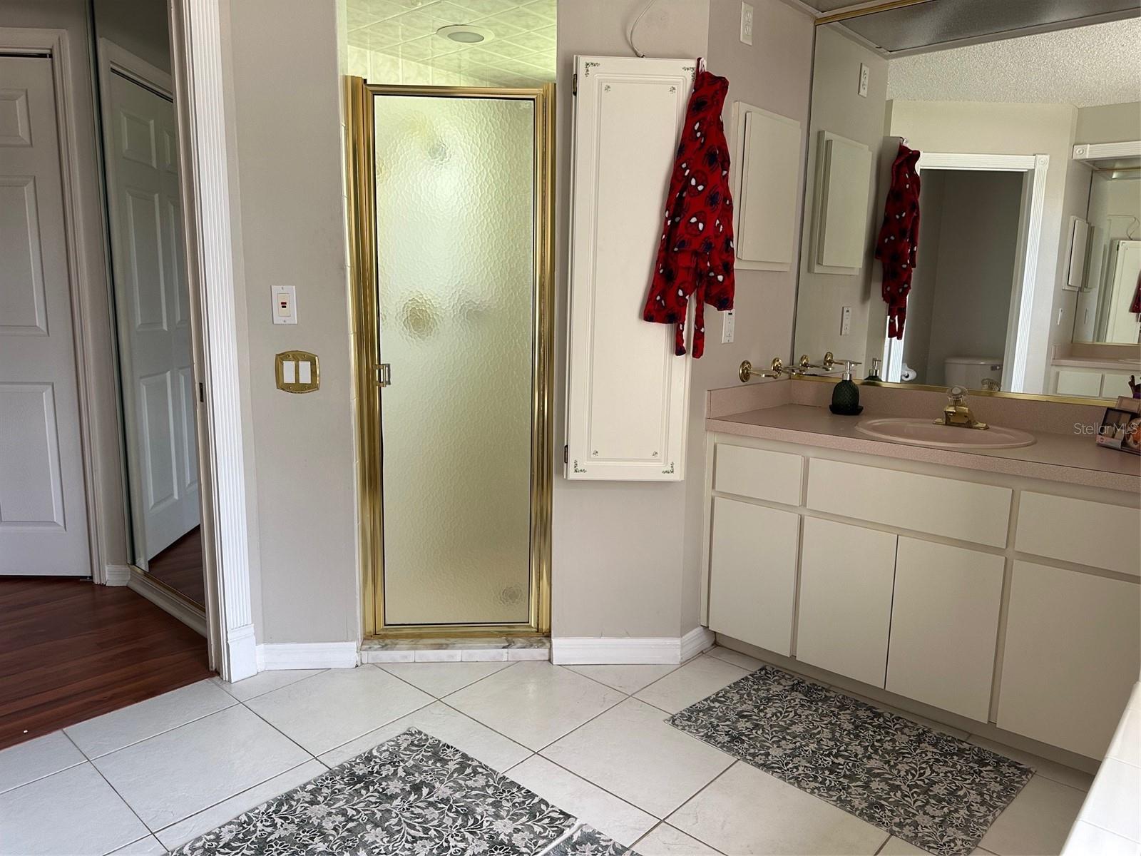 Shower Door