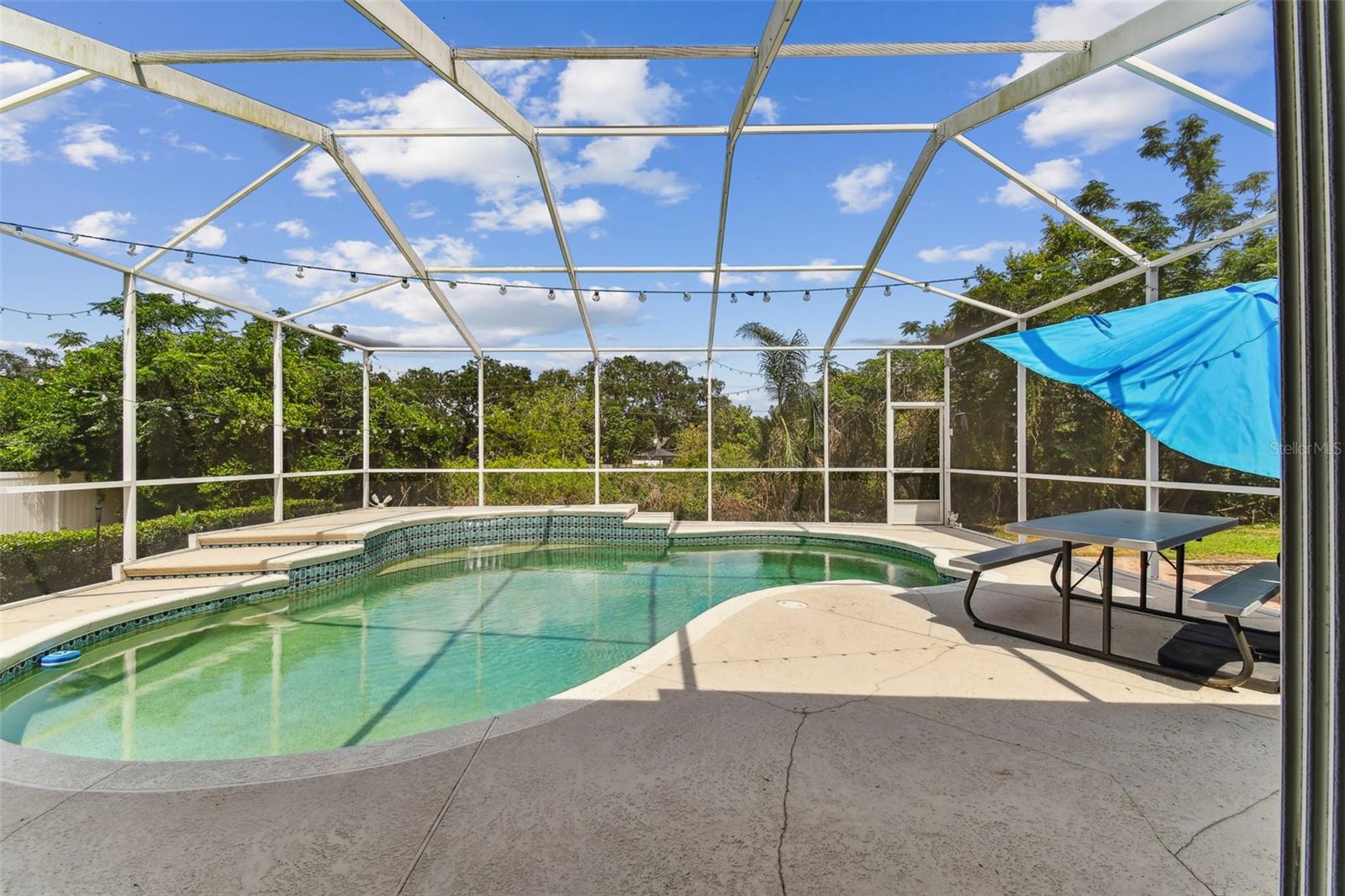 Private backyard pool with screened enclosure and patio area at 2202 Colewood Ln, perfect for Florida living and entertaining.