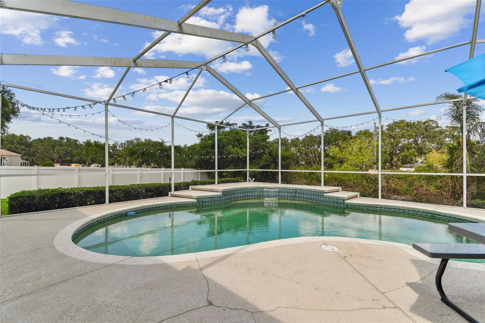 Private backyard pool with screened enclosure and patio area at 2202 Colewood Ln, perfect for Florida living and entertaining.
