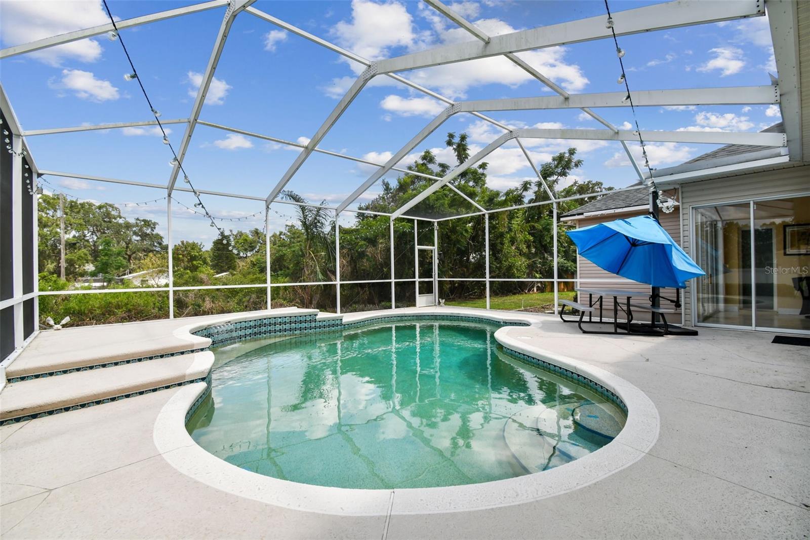 Private backyard pool with screened enclosure and patio area at 2202 Colewood Ln, perfect for Florida living and entertaining.