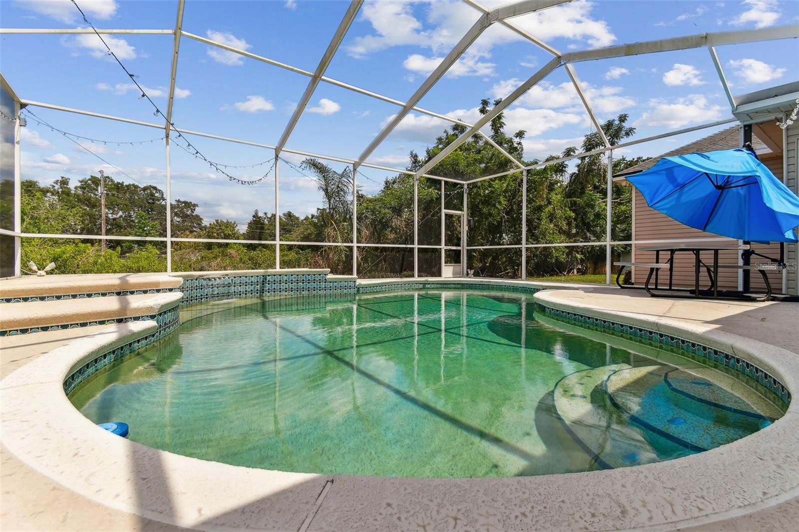 Private backyard pool with screened enclosure and patio area at 2202 Colewood Ln, perfect for Florida living and entertaining.