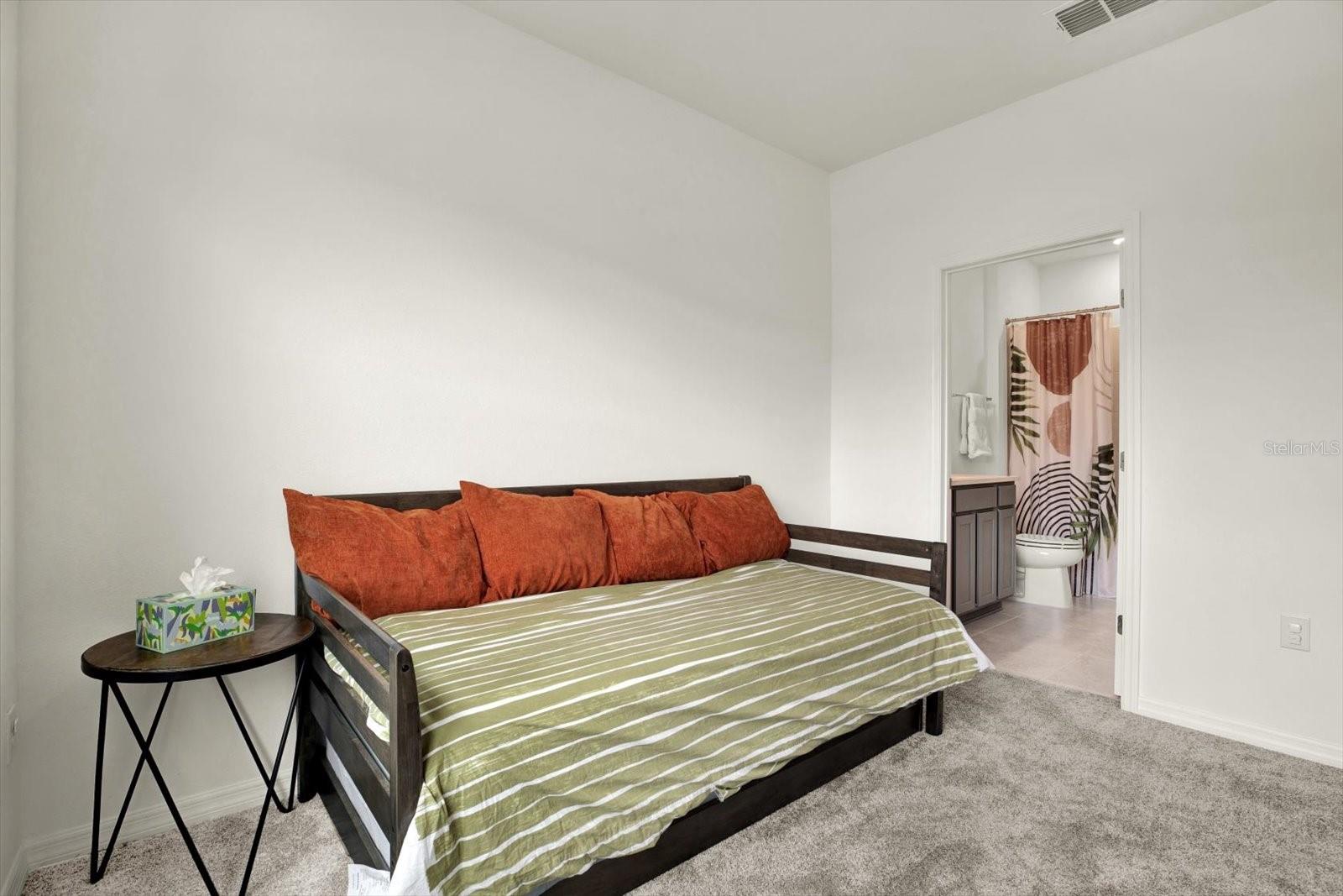 Downstairs Guest Suite