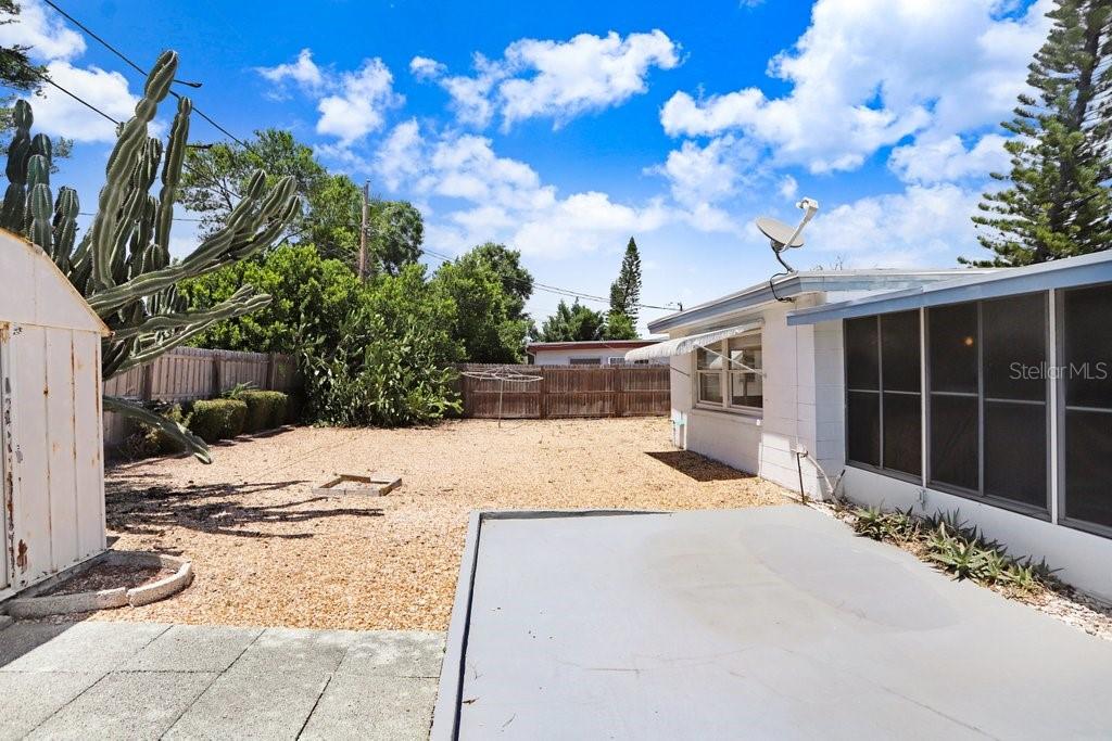 Backyard