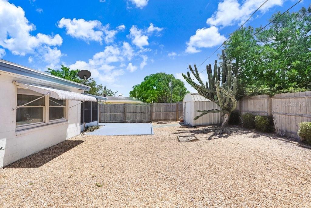 Backyard