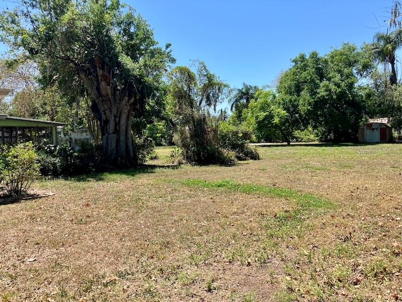 BACK YARD