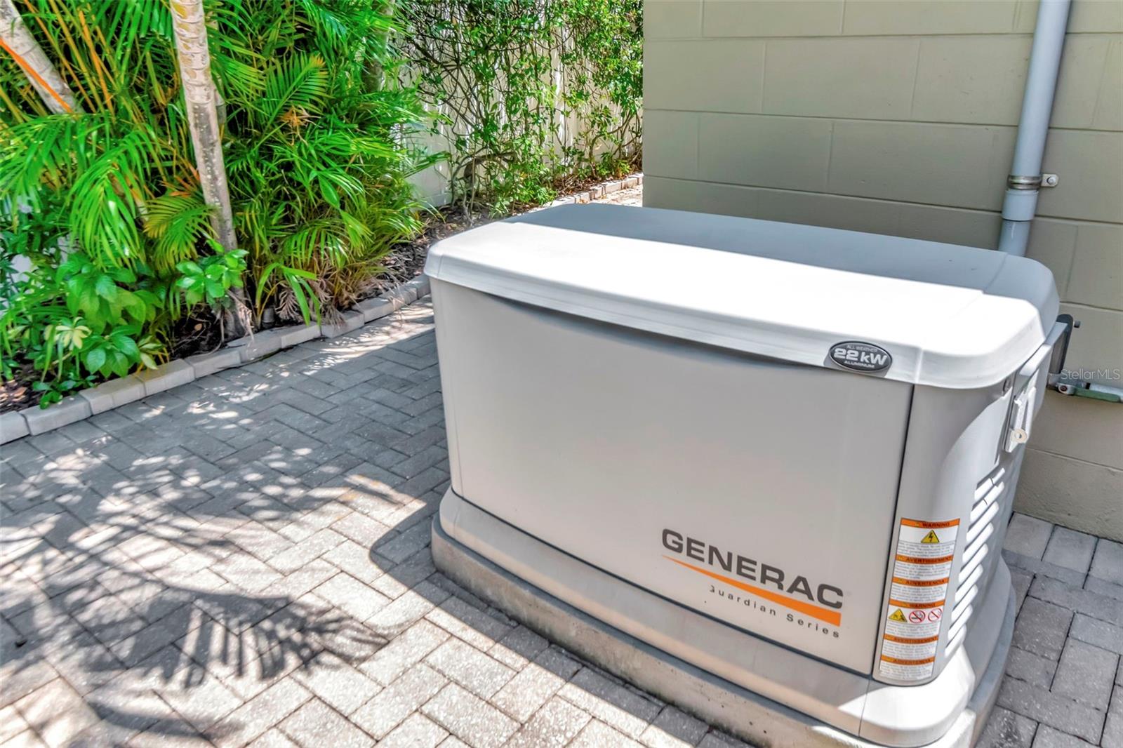 Full house generator made last summer easy - & house had NO flooding