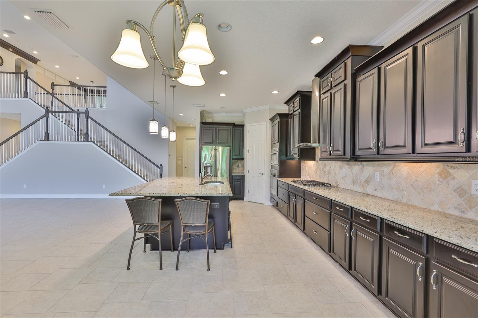 Gourmet kitchen