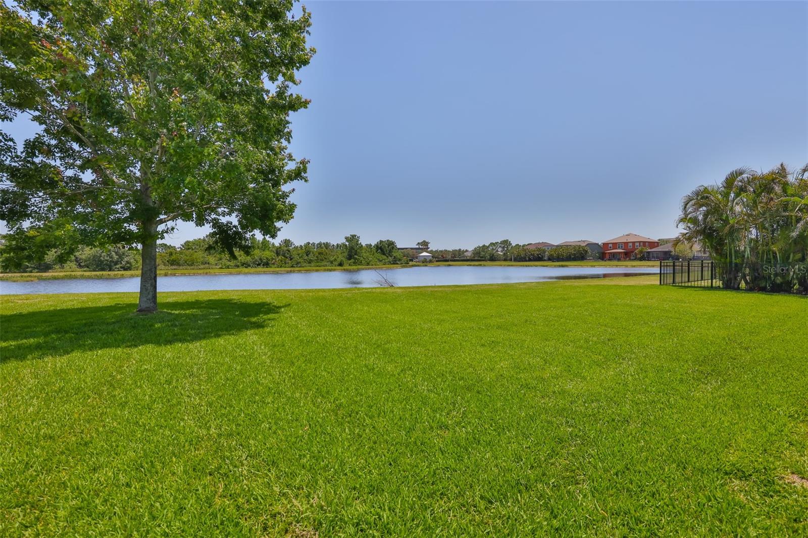 Back yard - large enough for pool