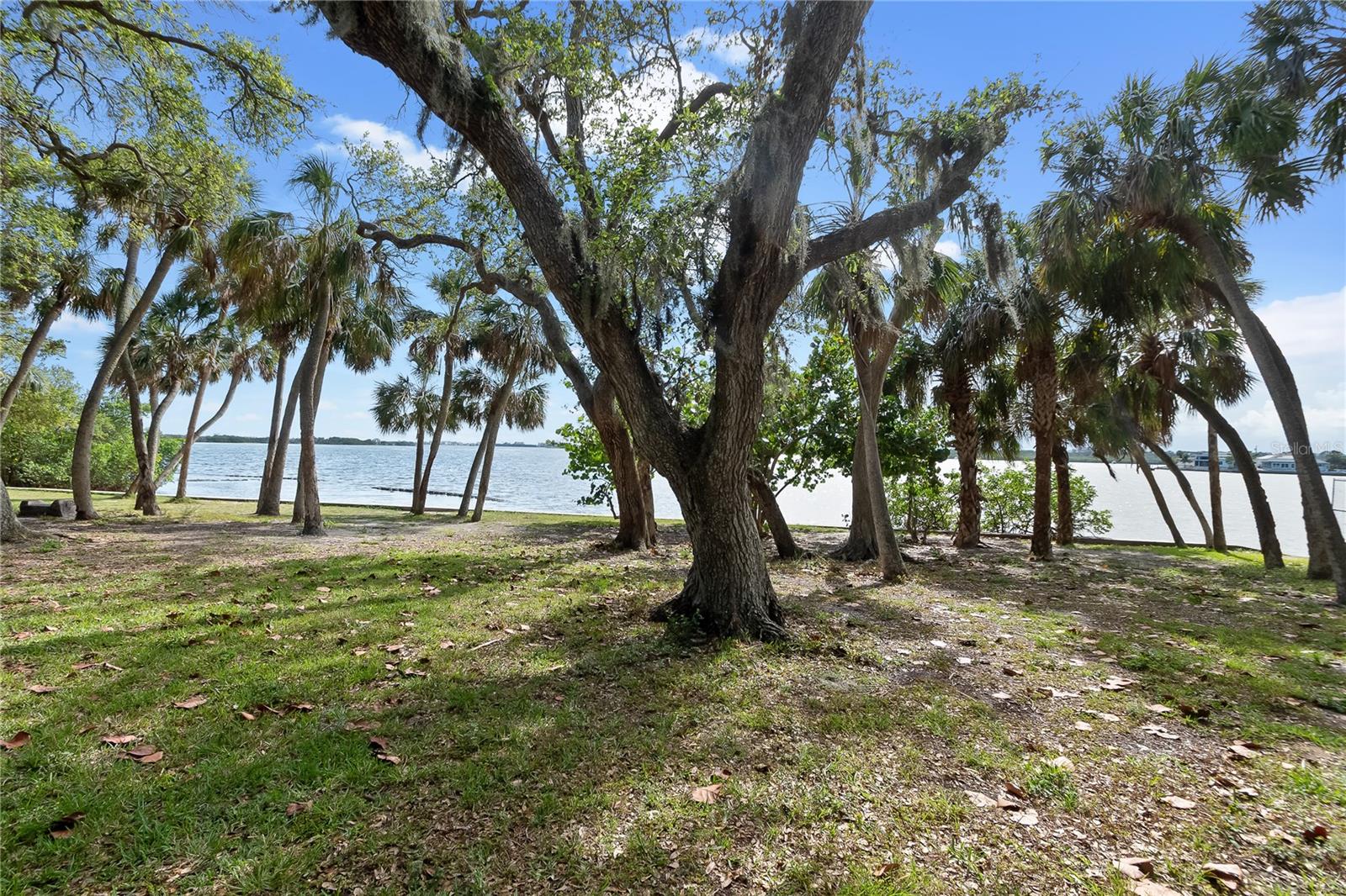 Beach area