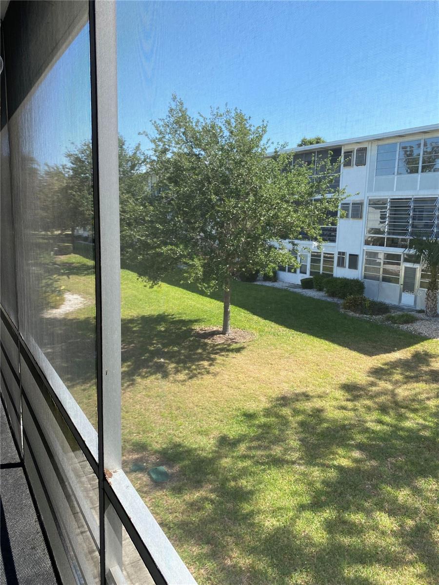 View from Porch