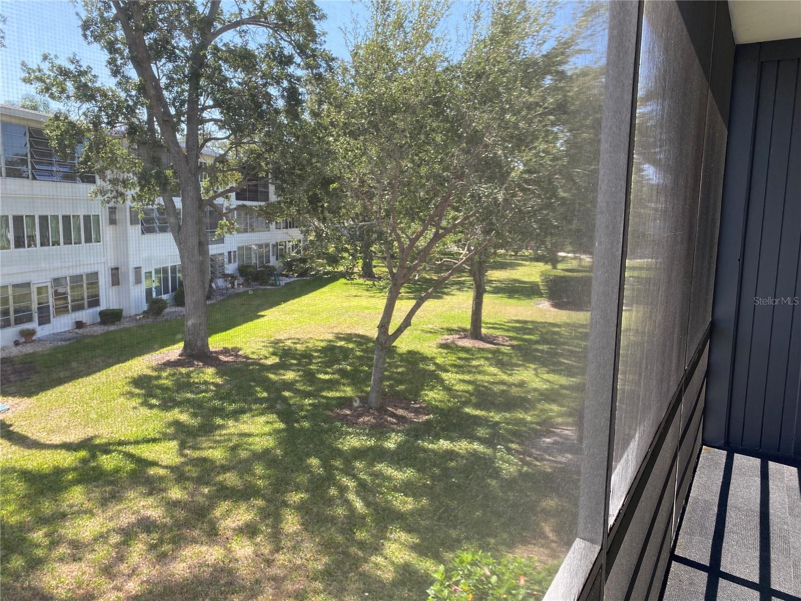 View from Porch