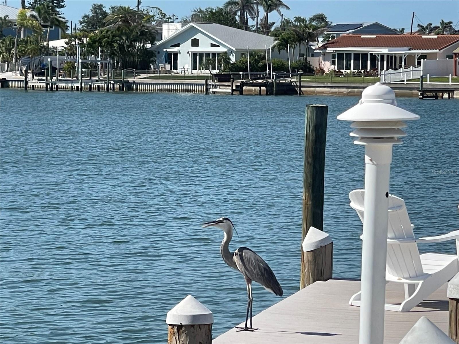 Trex decking and others on the dock