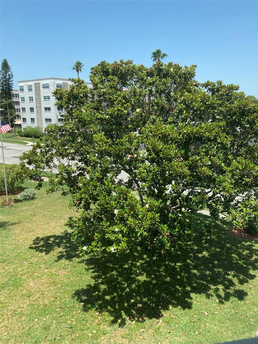 View from the window