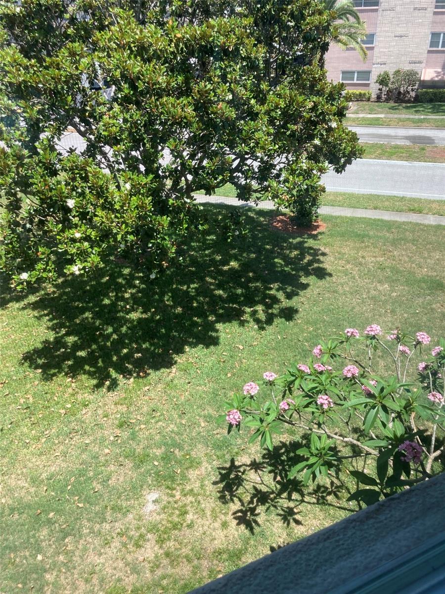 Another view from the window