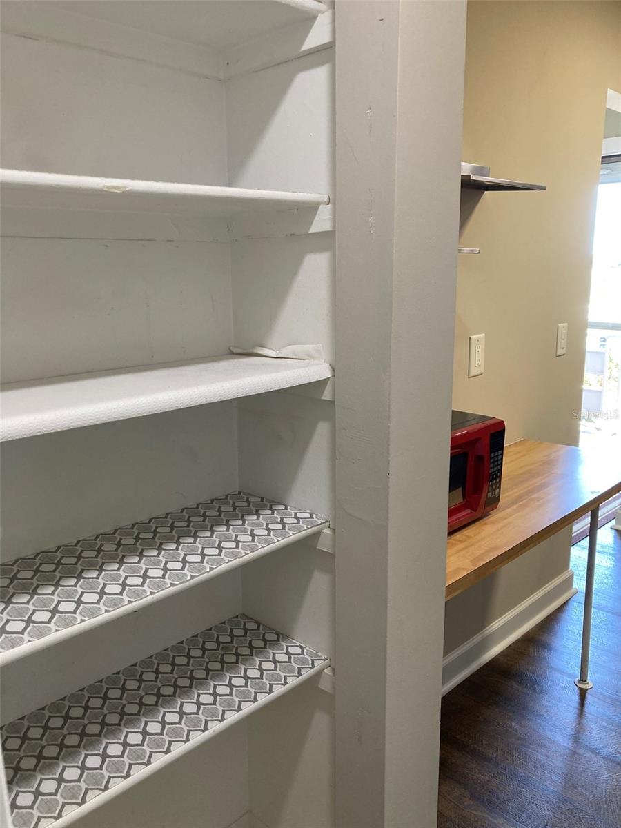Pantry closet in the kitchen