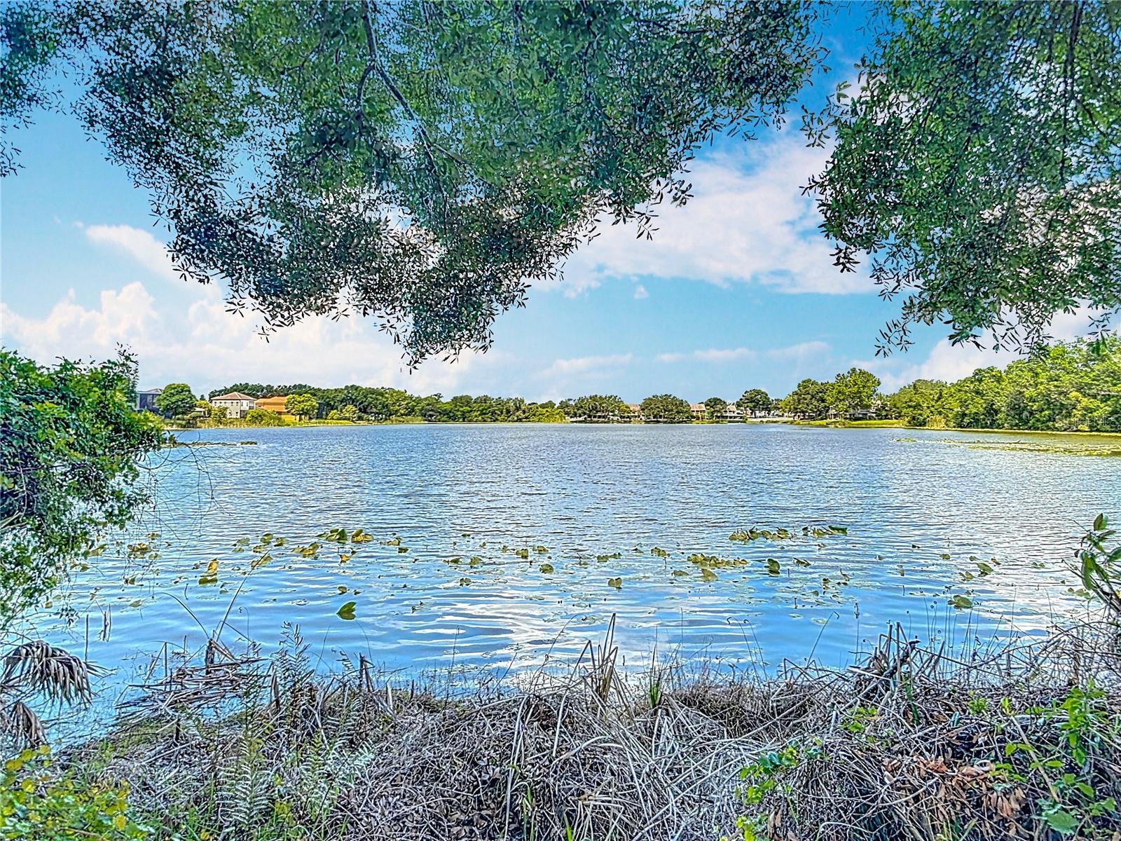 Peaceful pond just outside your screen enclosed lanai. Enjoy your morning coffee/tea/smoothie while listening to the sounds of nature.
