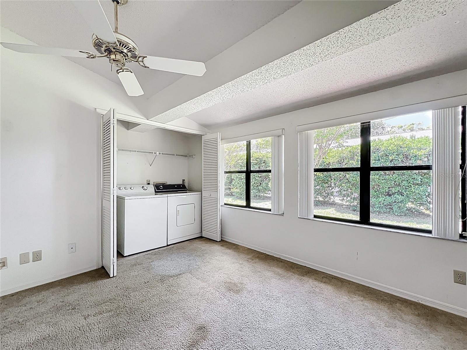 Bonus Room - Laundry Closet