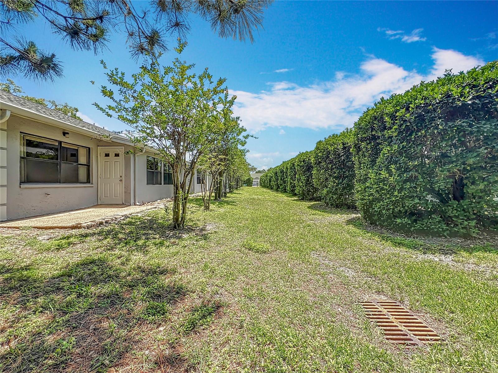 Rear Patio - Green Space