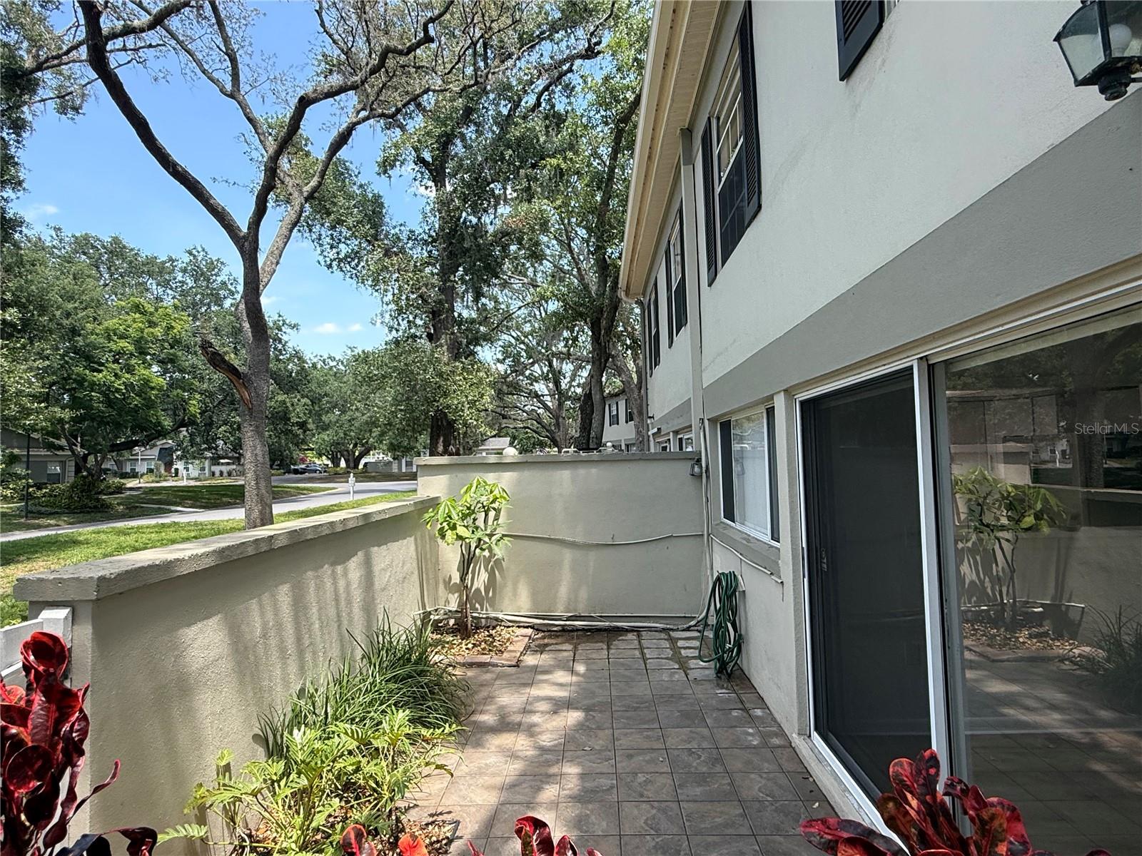 Sliding Doors to Patio