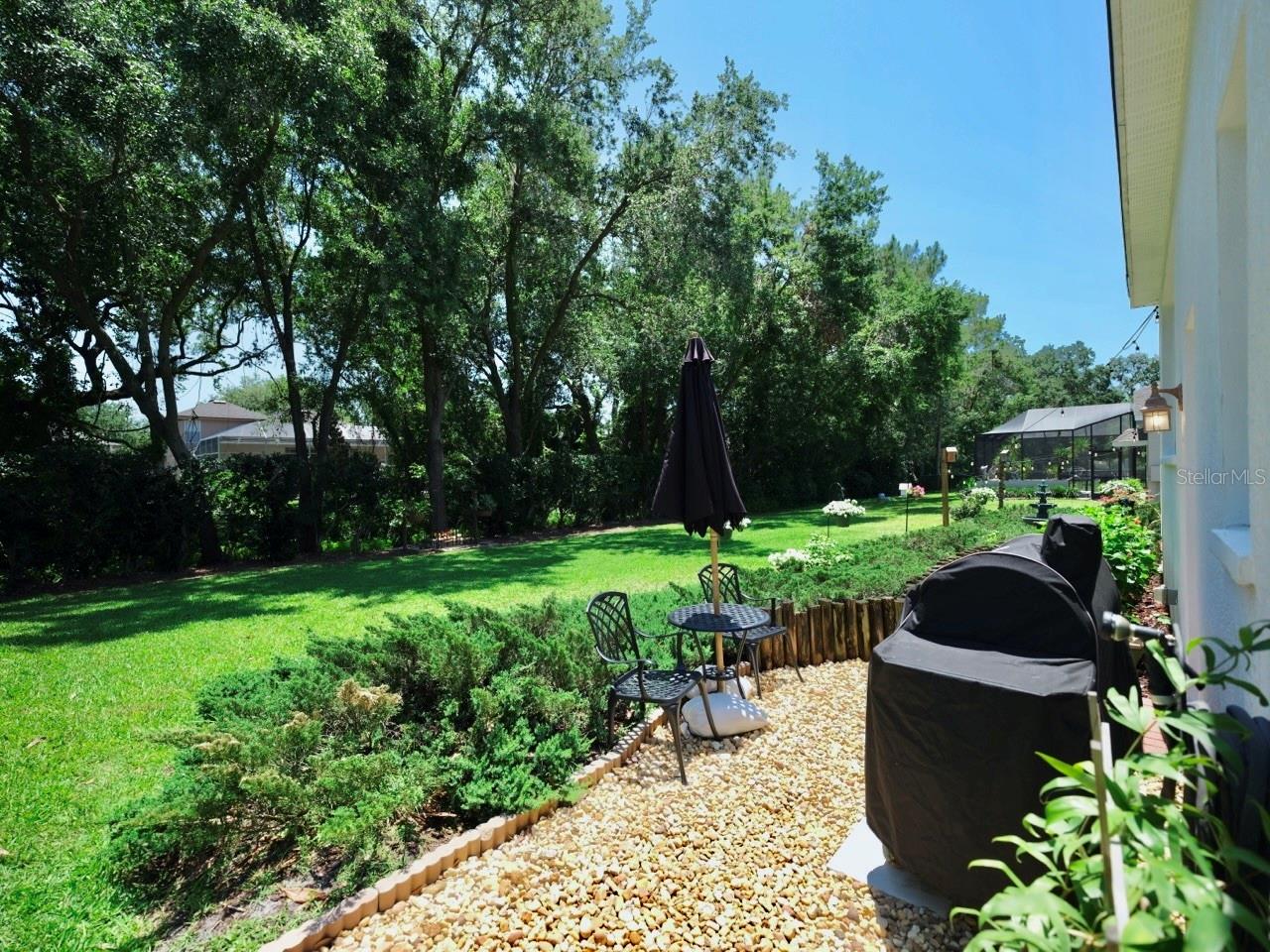 Back yard grill area