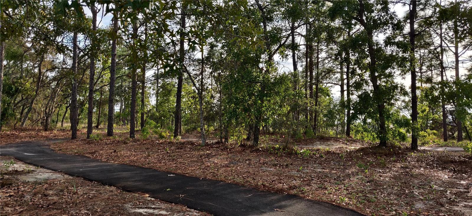 Nature Trail