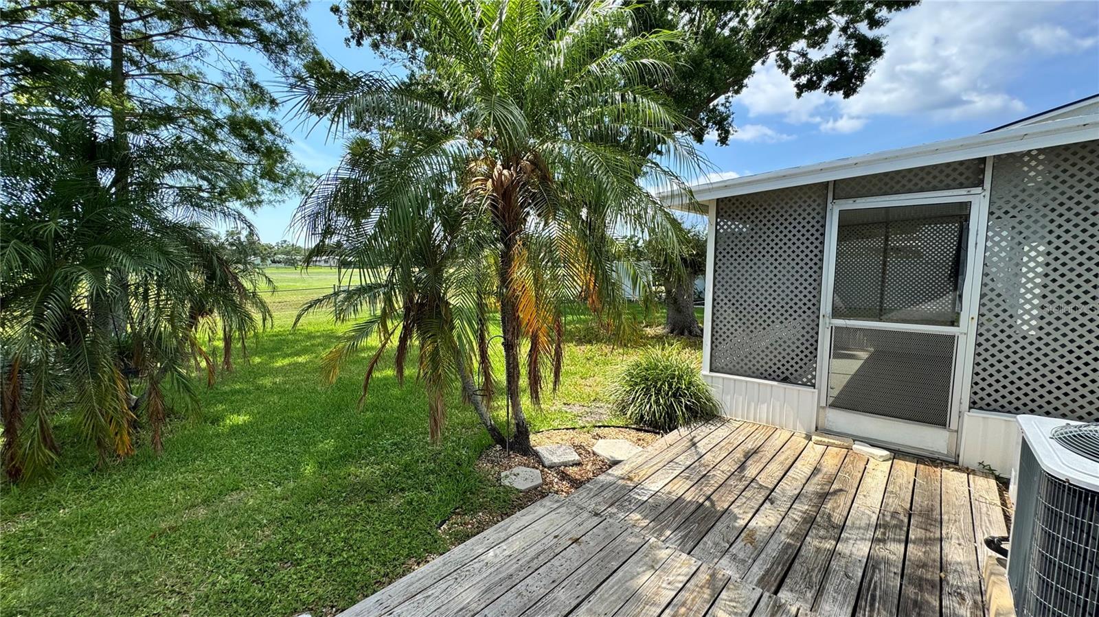 Backyard deck