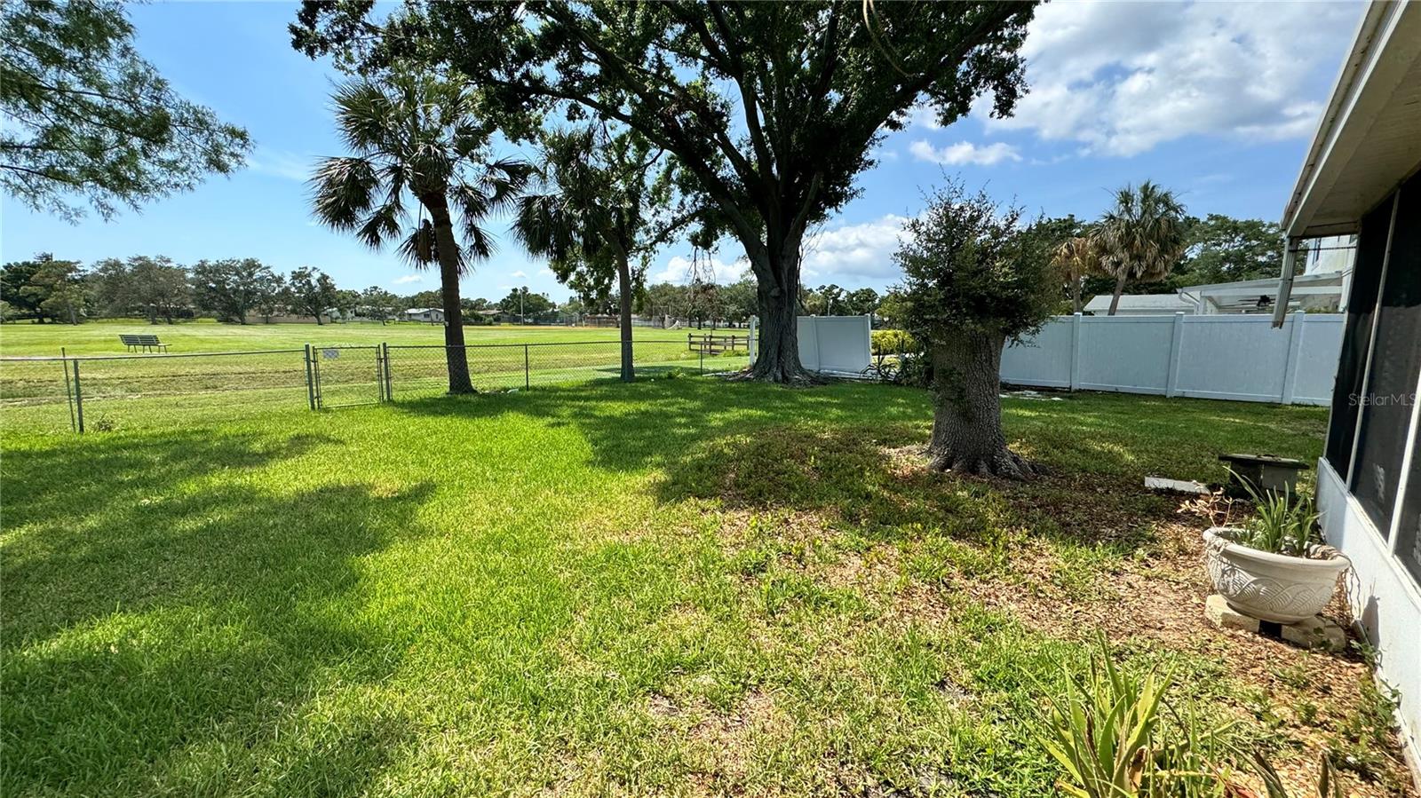 Your back yard with the park beyond