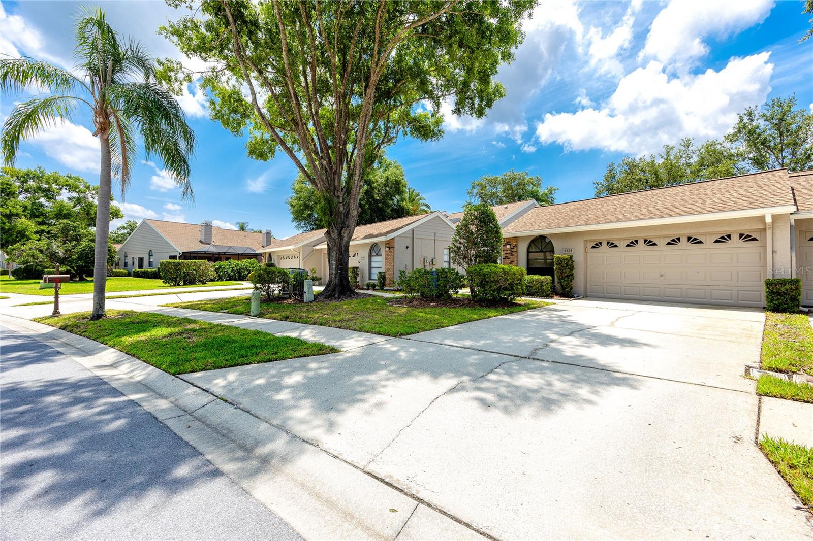 Front Driveway -5524 Salem Square Dr N, Palm Harbor, FL 34685