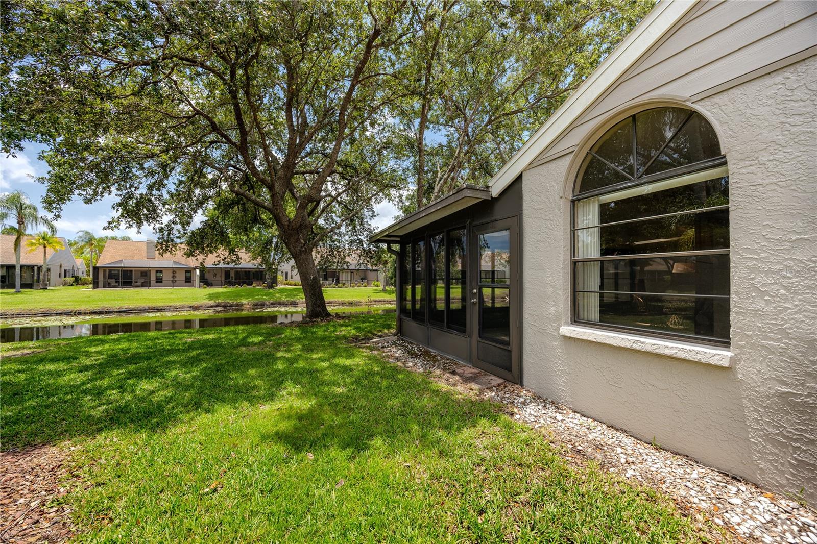 Back yard -5524 Salem Square Dr N, Palm Harbor, FL 34685