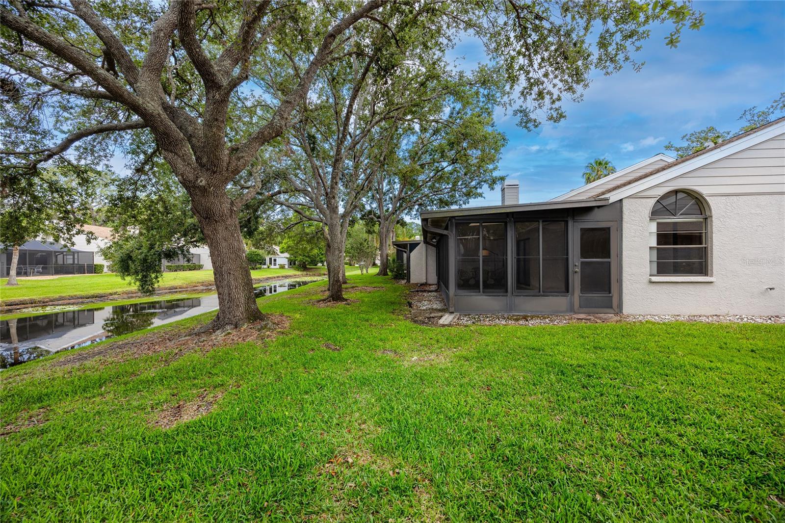 Back Yard -5524 Salem Square Dr N, Palm Harbor, FL 34685